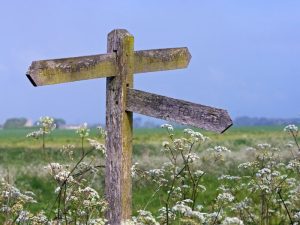 blog-stuur-links-naar-google-vardia.nl-wordpress-websites-seo-webteksten-online-marketing