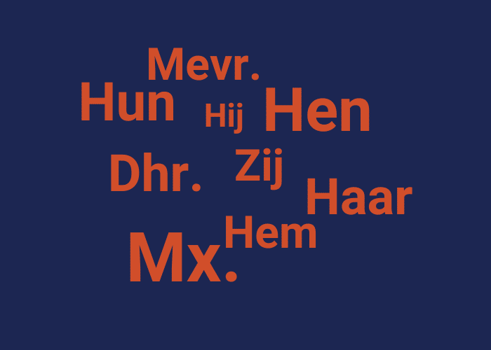 Hoe-gebruik-je-pronouns-in-vacatureteksten-tips-vardia.nl